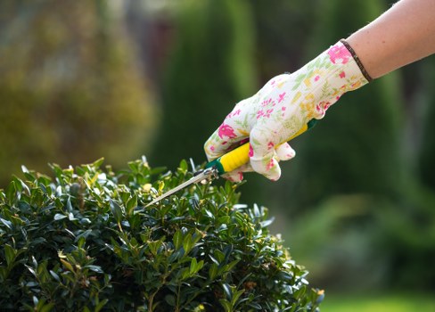 Professional shed installation setup in a Sutton garden