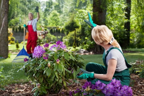 Garden renovation work in Sutton with outdoor space clearing and redesign