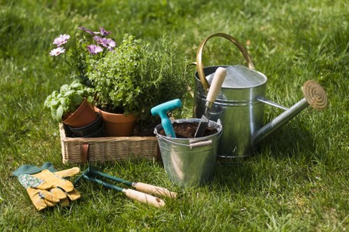 Professional lawn mowing and edging in Sutton