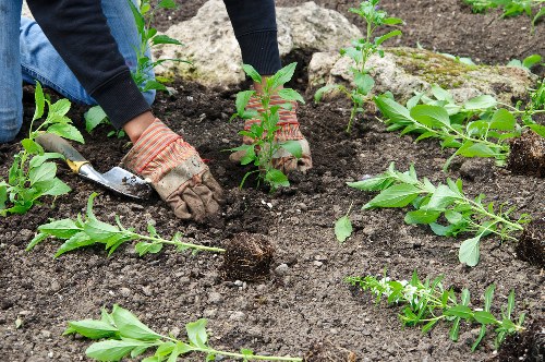 Accessibility commitment for Landscapers Sutton with inclusive browsing