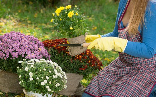 A neatly designed flower border adding colour to a Sutton front garden