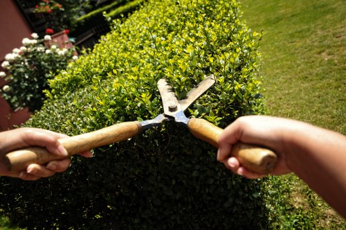 Ongoing accessibility review for Landscapers Sutton website
