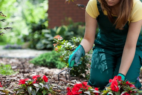 Patio and planting design for a local Sutton home garden