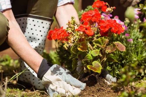 Local landscaping service for a suburban Sutton property with tidy borders