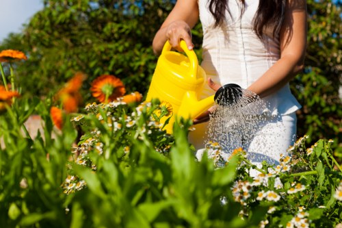 SSL-protected Landscapers Sutton payment page with card and PayPal options