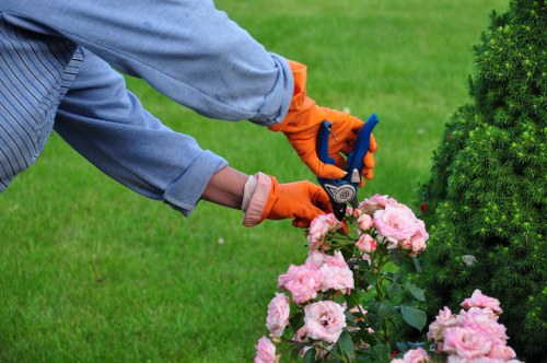 Keyboard navigation and accessible page structure for local landscaping services