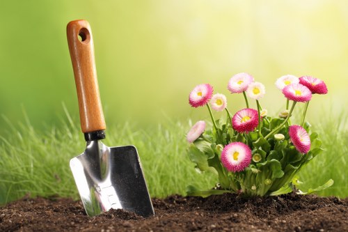 Regular lawn care and garden tidying service for Sutton properties