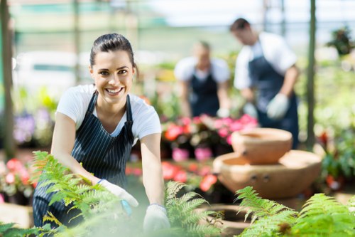 Commercial lawn care and grounds maintenance in Sutton